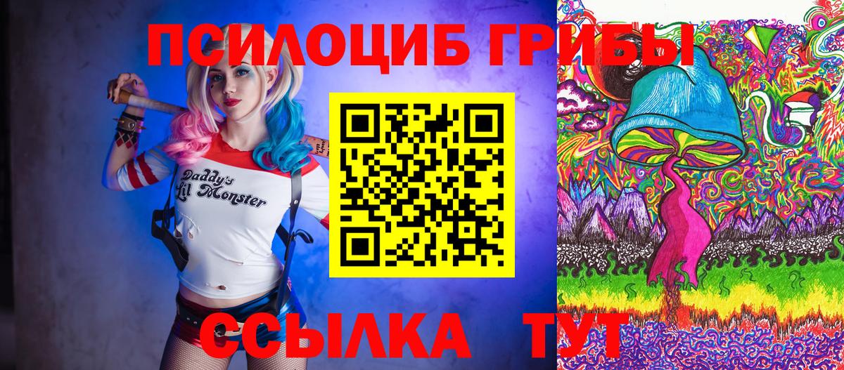 Магнитогорск  Псилоцибиновые грибы Magic Shrooms  цены   Вход с VPN 